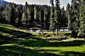 Gulmarg in Kashmir D7434