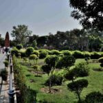 Jallianwala Garden D6451