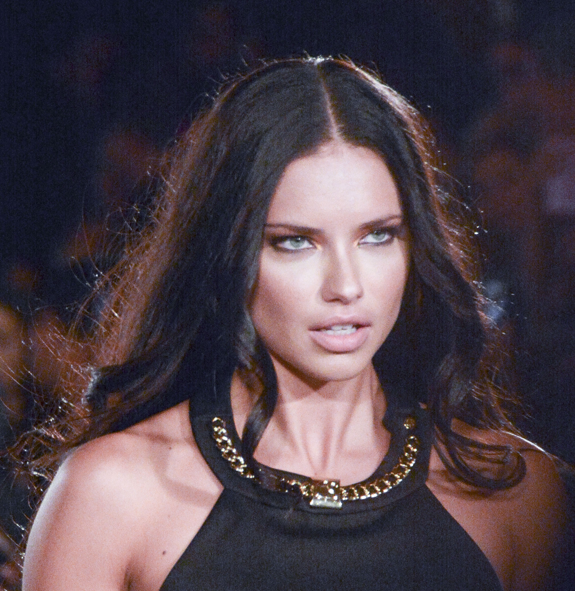 Adriana Lima Photo