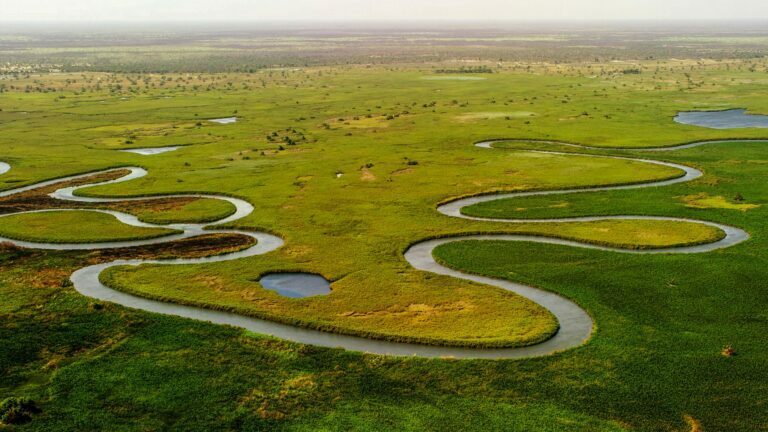 Delta Okavango Photo