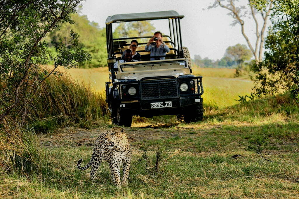 Okavango Delta Botswana Safari