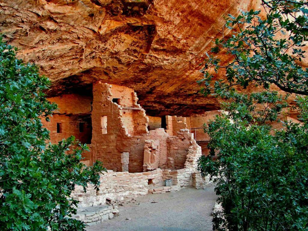 Mesa Verde Spruce Tree House