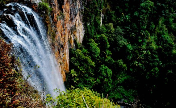 Purling Brook Falls in Gondwana Rainforests