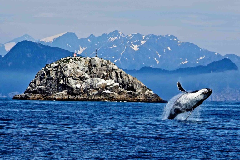 Red Bay Basque Whaling Station Newfoundland