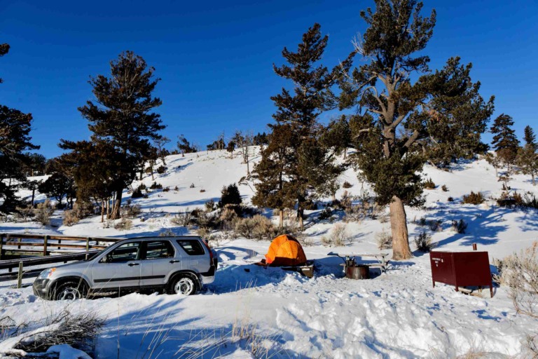 Things to do in Yellowstone Wyoming: Mammoth Hot Springs Winter